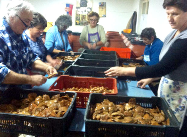 Од печурака расте зарада